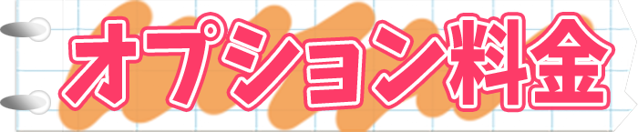 オプション料金